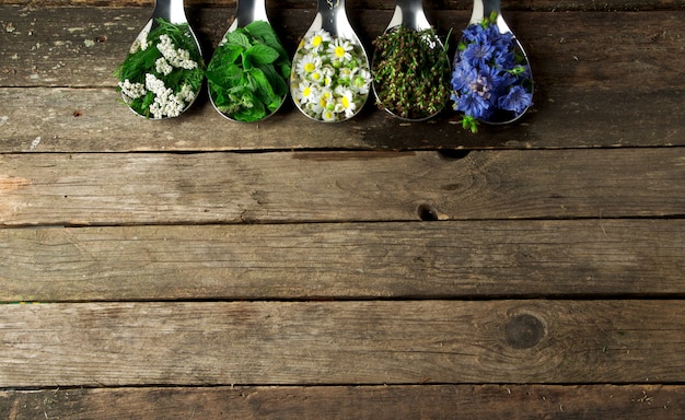 Tea transformation results